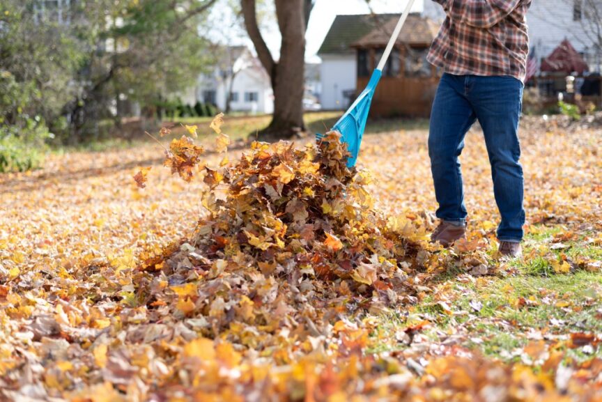 Fall Pest Control - Things to Be Aware Of - Wildlife Pros